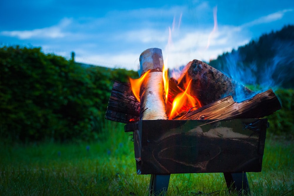 brown firewood with fire