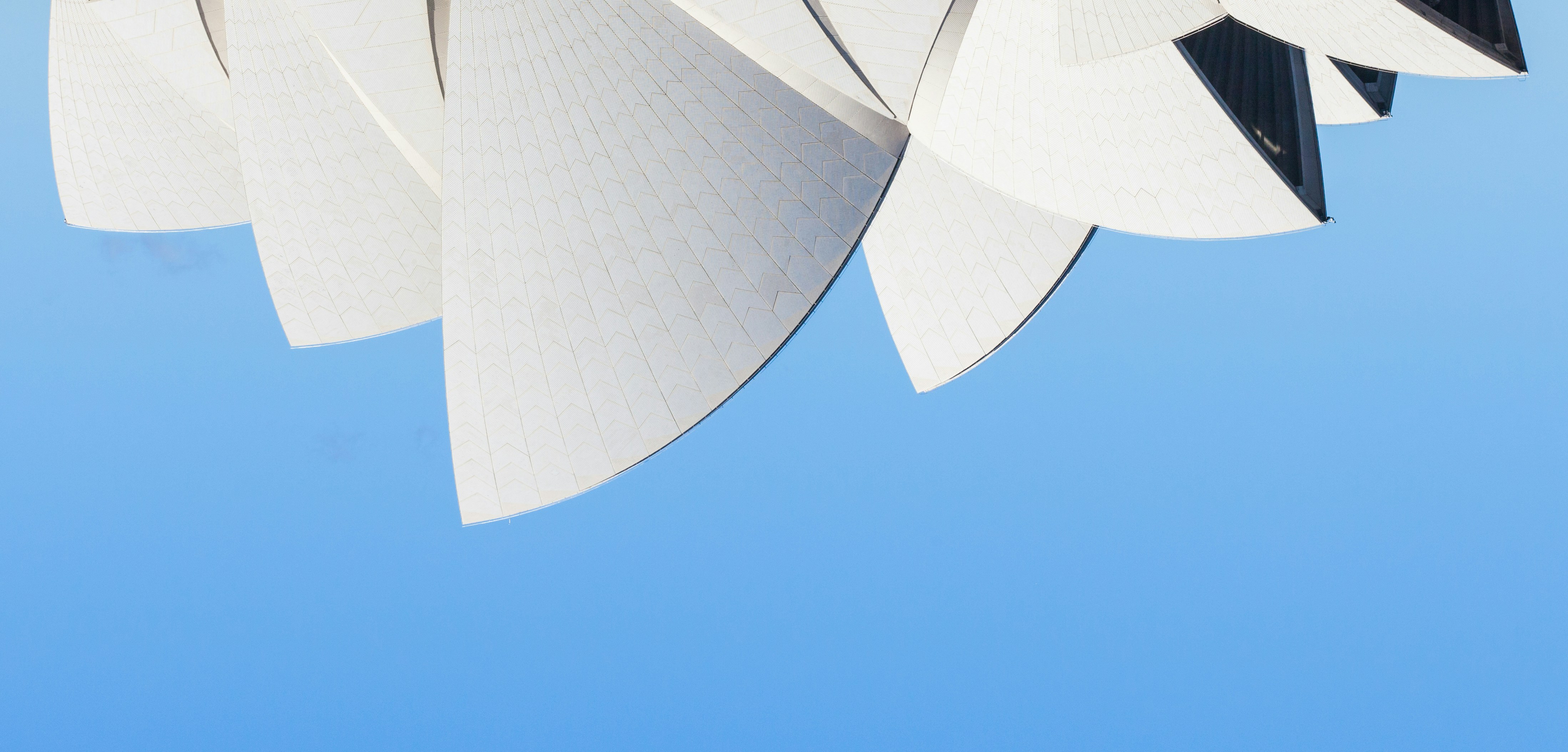 Master of Interactive Multimedia в Сиднее — часть 1, техническая