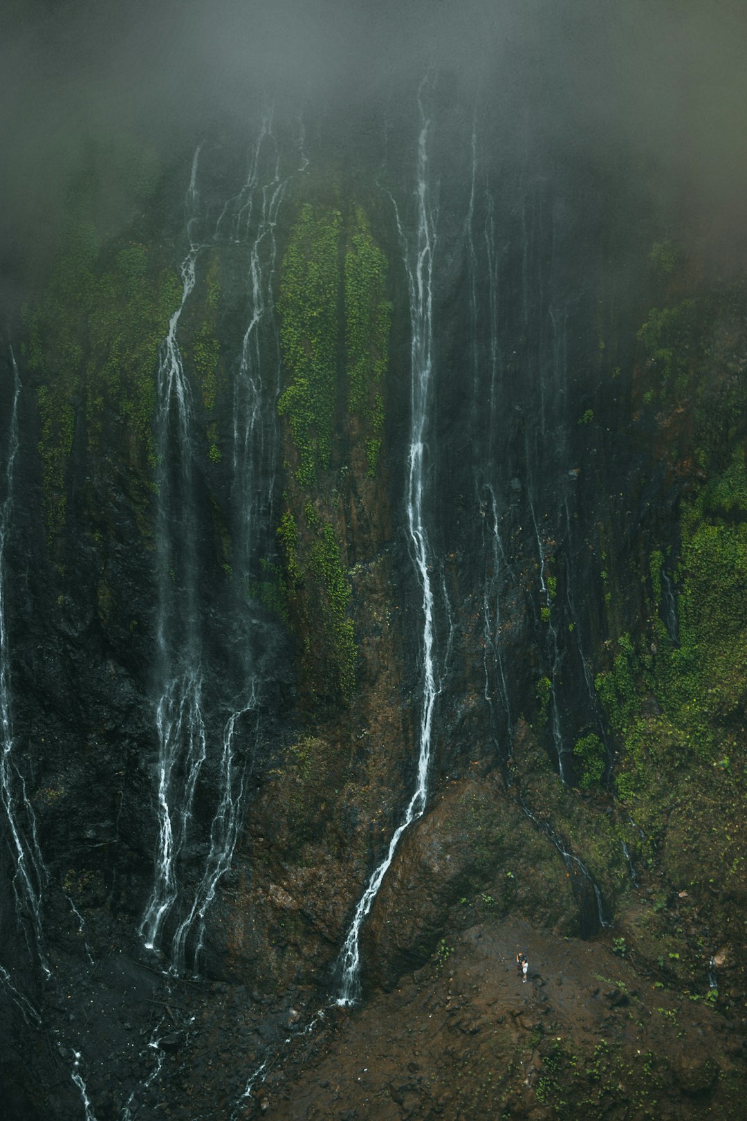 Forest photo spot Tumpak Sewu Waterfall East Java