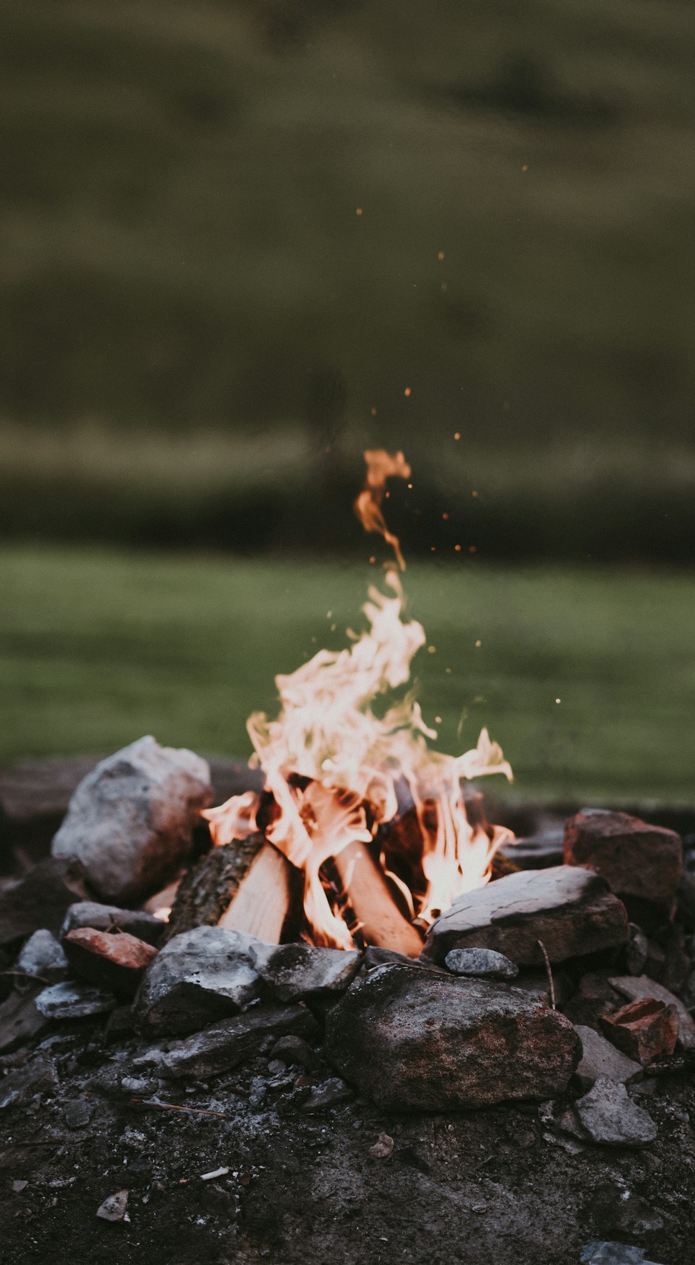 selective focus photography of bonfire