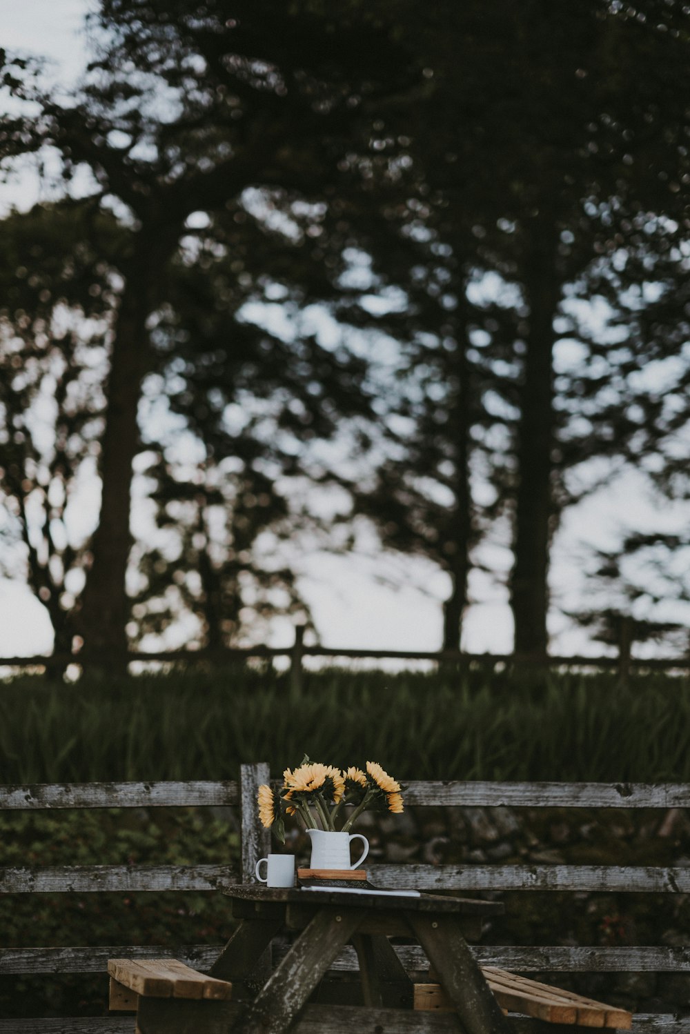 Tournesols dans un pichet en céramique blanche sur une table marron