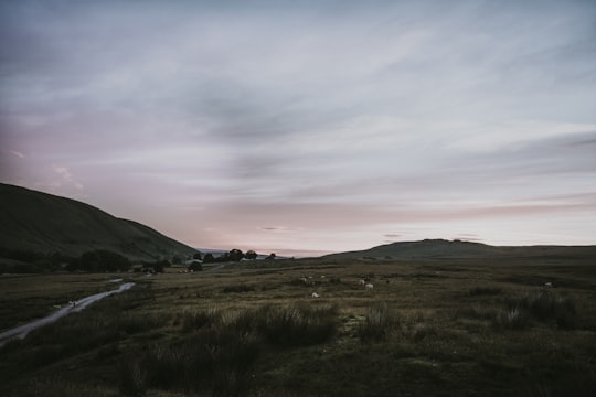 road near plant field in Ravenstonedale United Kingdom