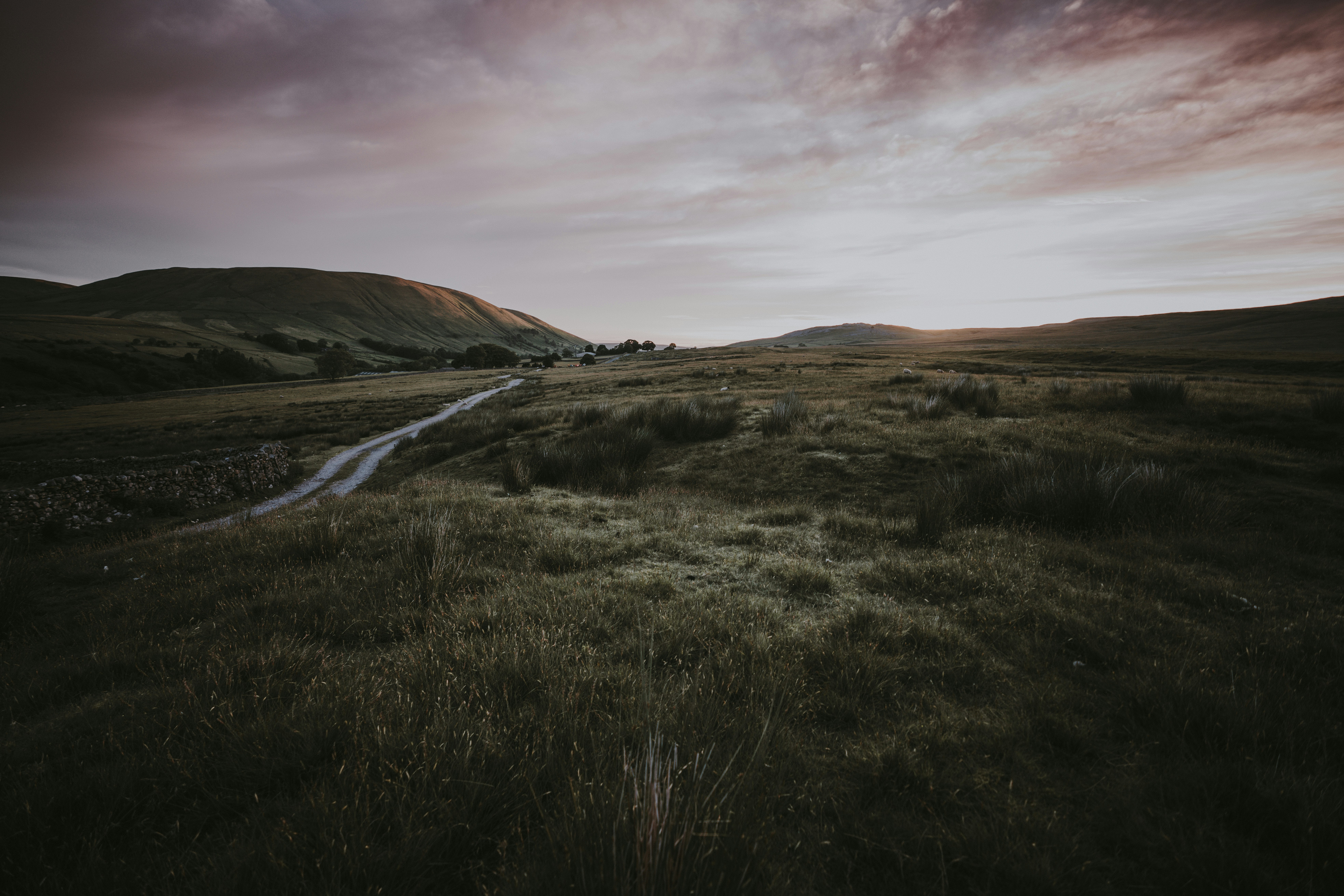 Photo by anniespratt