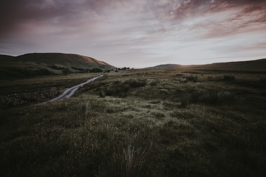 road between green grass in Ravenstonedale United Kingdom