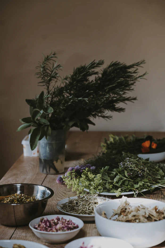 Assorted fresh vegetables for gut-healthy recipes