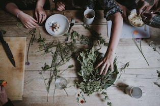 Ayurveda Herbs 
