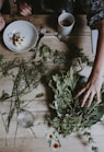 person's left arm on green leaves