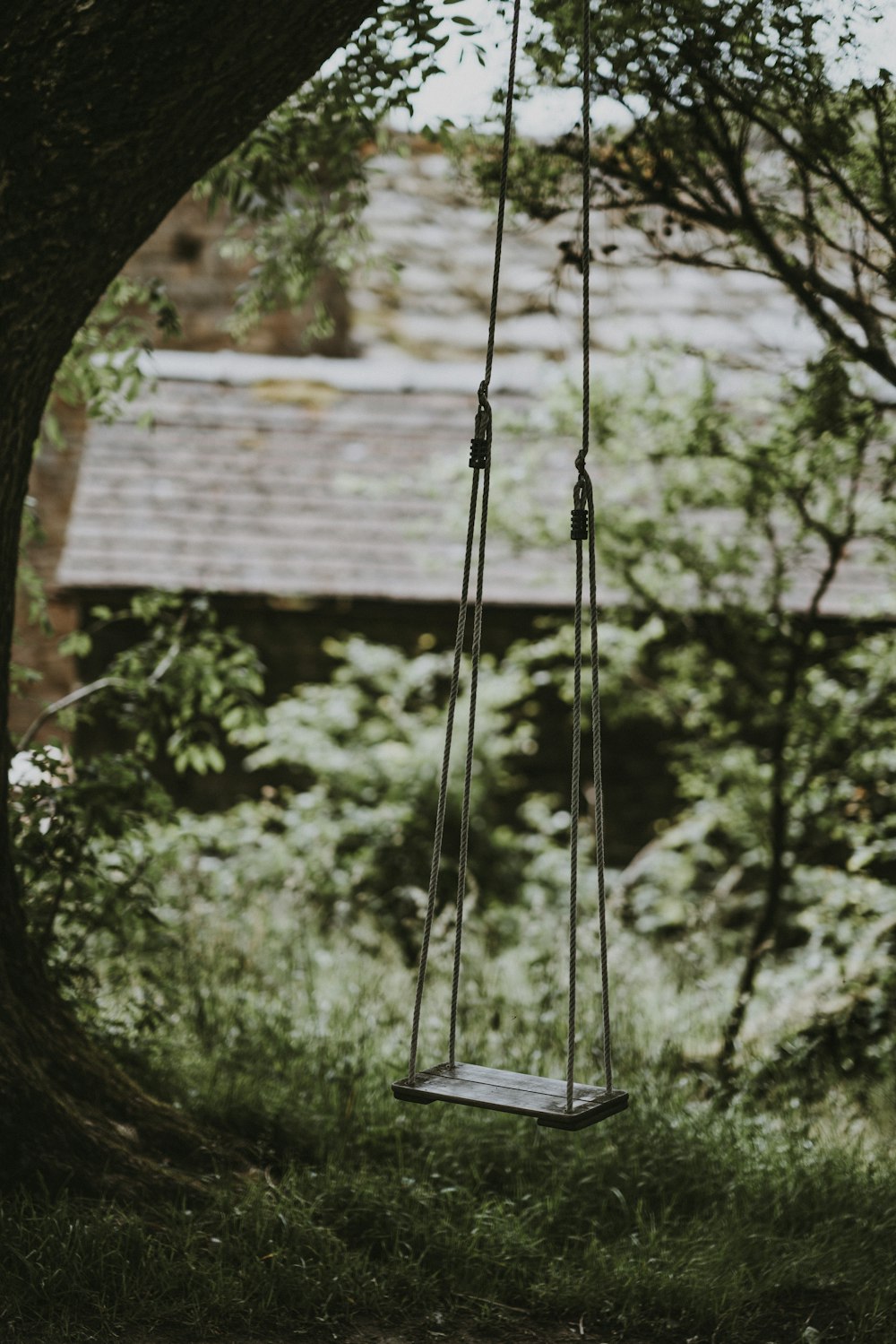 swing hanged on tree