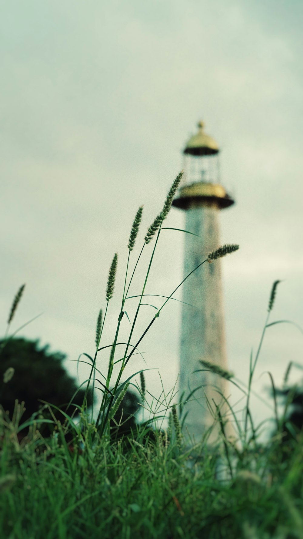 low angle photography og gray light tower