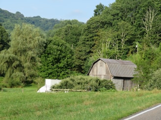 A wooden barn stands amidst lush greenery, surrounded by dense trees and a grassy field. A road runs alongside the scene, and the landscape is dominated by rolling hills in the background.