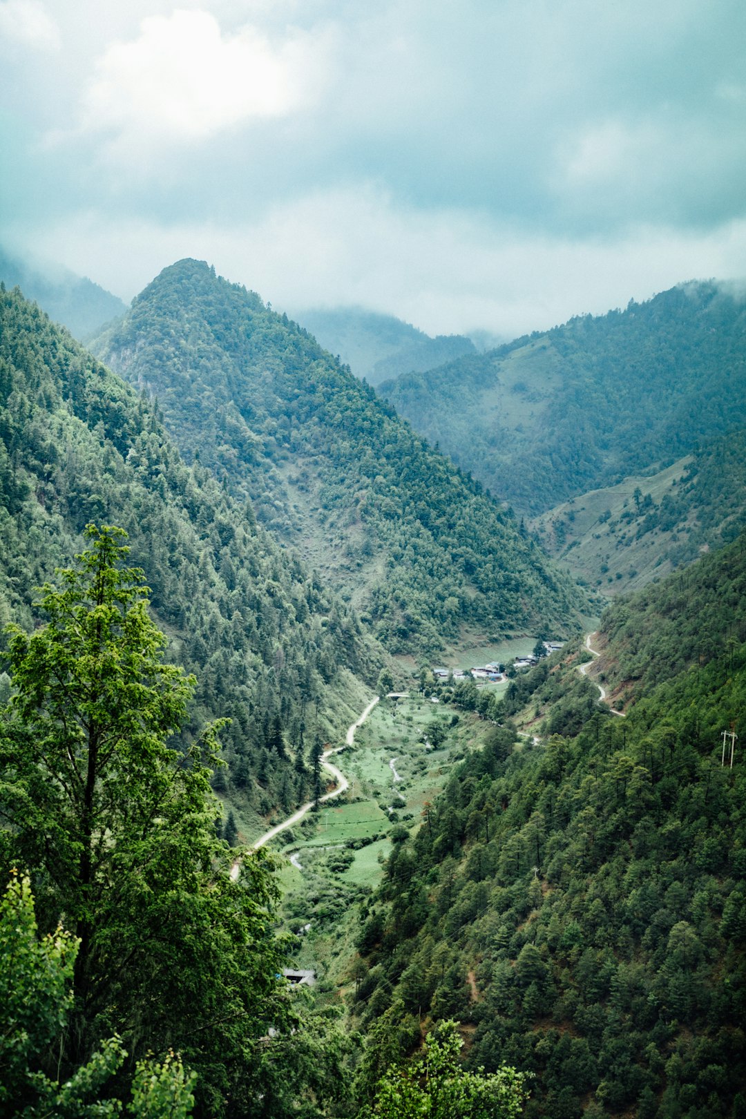 road between forest covered mountains during day