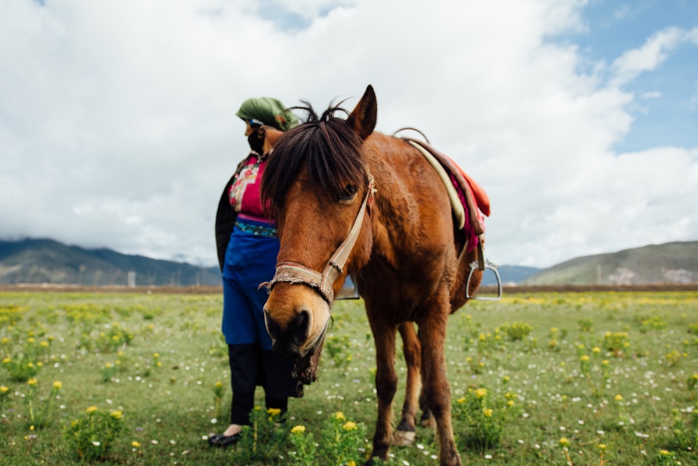 brown horse beside woman on green grass field during daytime