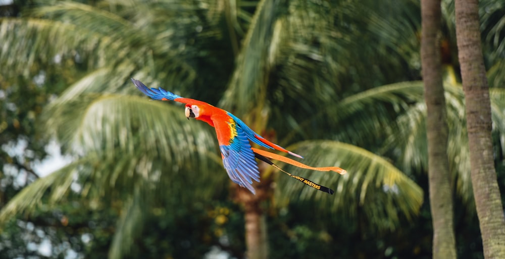 flying birds beside tree