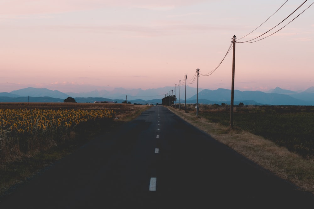 asphalt road near posts and mountains