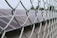 Photo of a solar fence protecting a lush green farm under a bright sky.