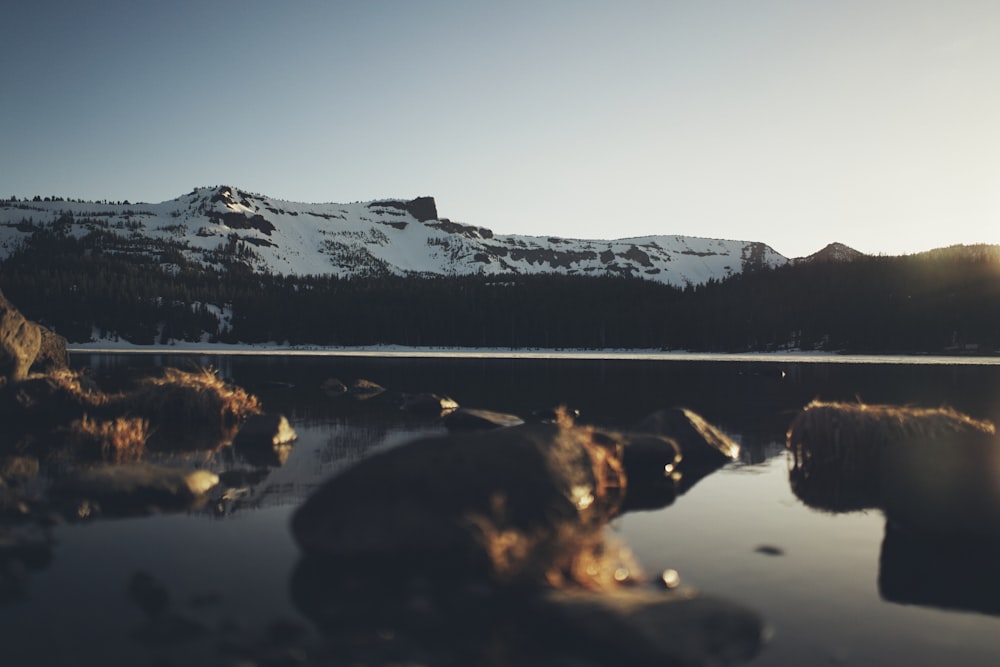 body of water and rocks