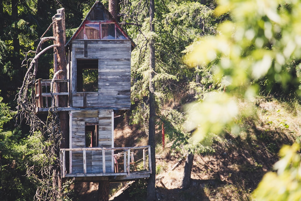 brown and gray wooden tree house during daytime