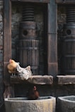 Three chickens are situated in a rustic setting. Two of them are perched on a wooden beam, and one is positioned in a stone trough. The setting features large, wooden mechanical components against a stone wall, giving a vintage and rural ambiance.