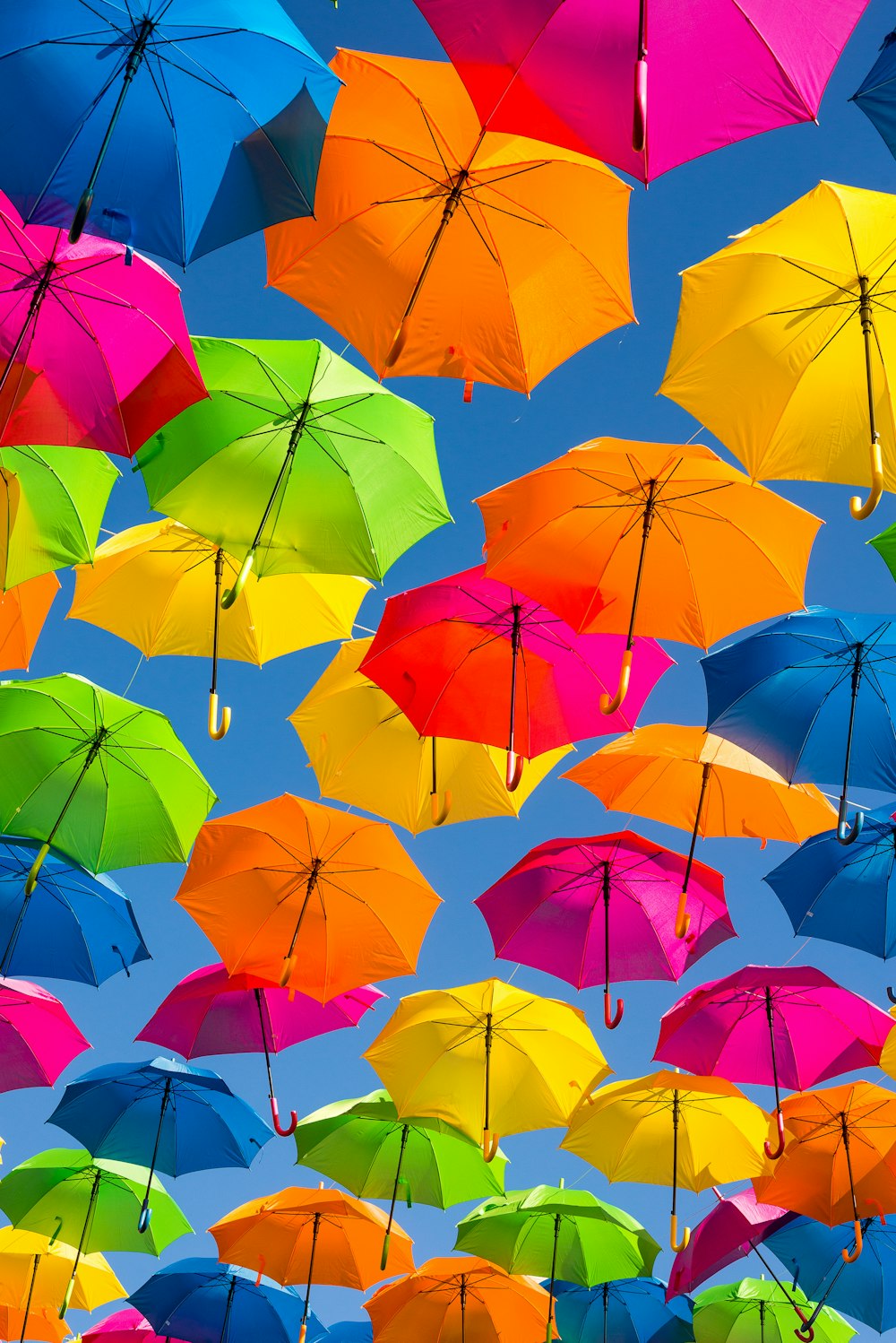 Persona tomando foto de paraguas de colores variados