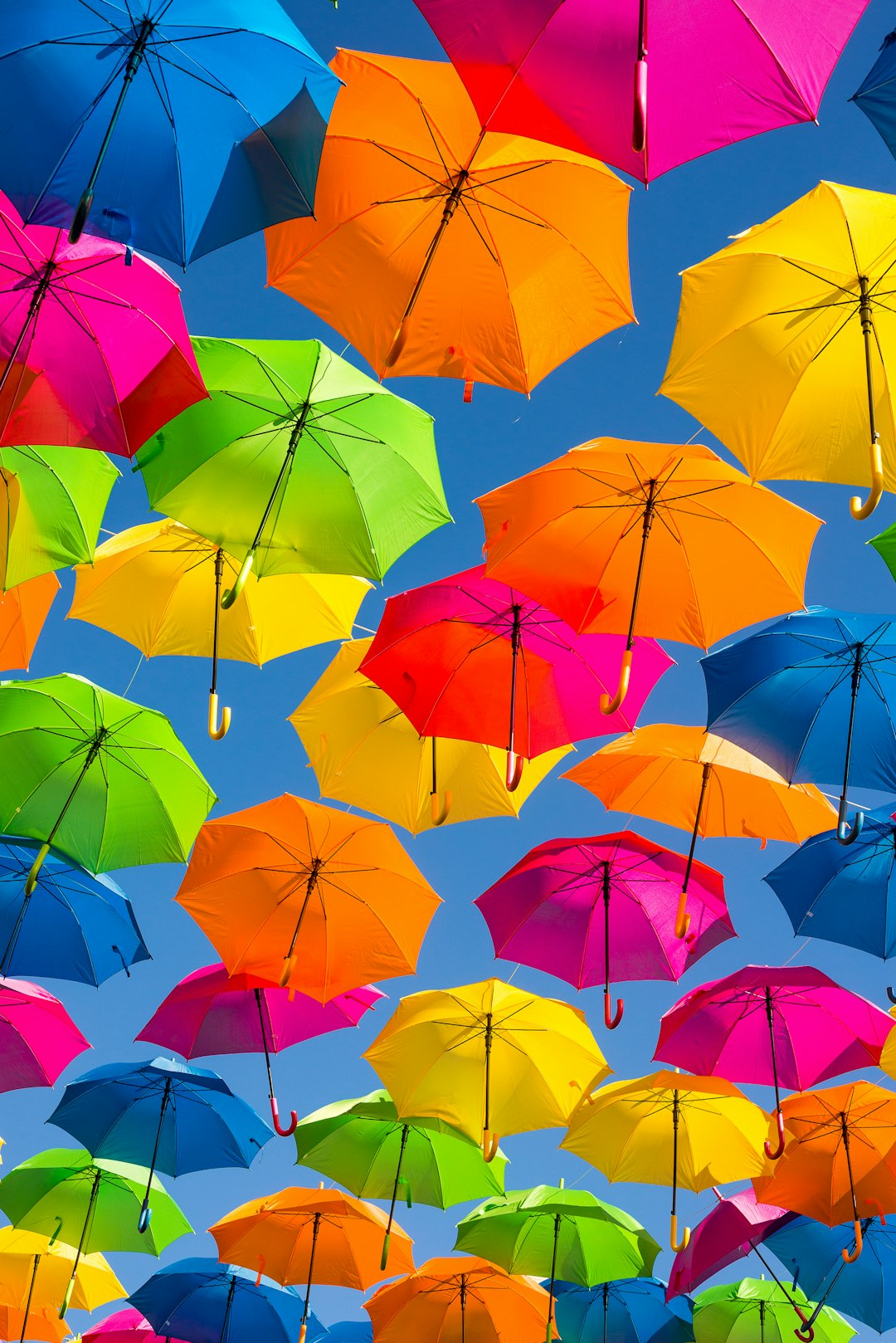 Définition de ombrelle | Dictionnaire français