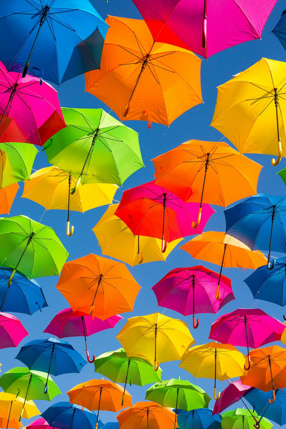 27 Umbrella Pictures Download Free Images on Unsplash 27 Umbrella Pictures Download Free Images on Unsplash