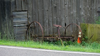 Traditional farming tools resting beside a natural chicken coop surrounded by trees.