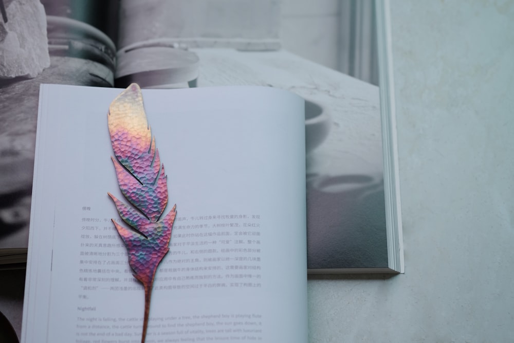 decorazione di piume iridescenti su pagine di libri di stampanti bianche