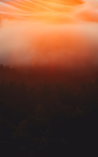 a red sky with clouds and trees in the foreground