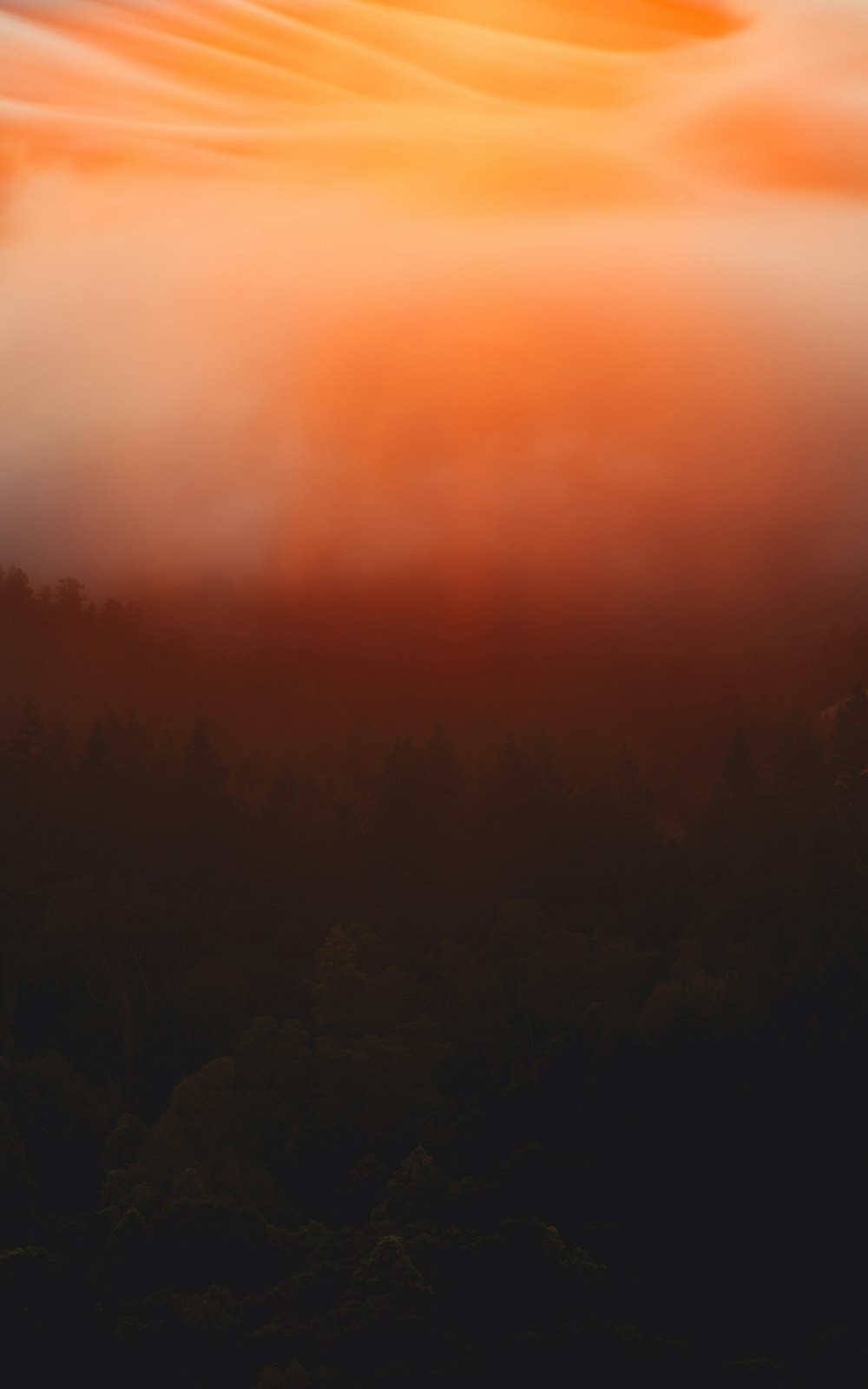 Un ciel rouge avec des nuages et des arbres au premier plan