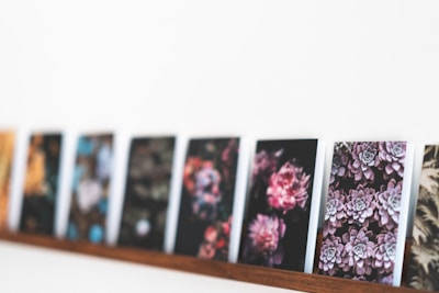 Close-up of colorful seed packets neatly arranged on a wooden shelf.