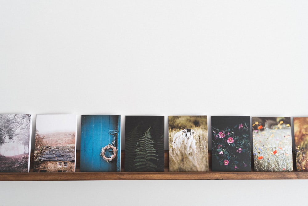 line of assorted paintings on wooden wall shelf