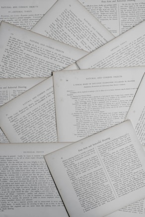 white and black paper lot