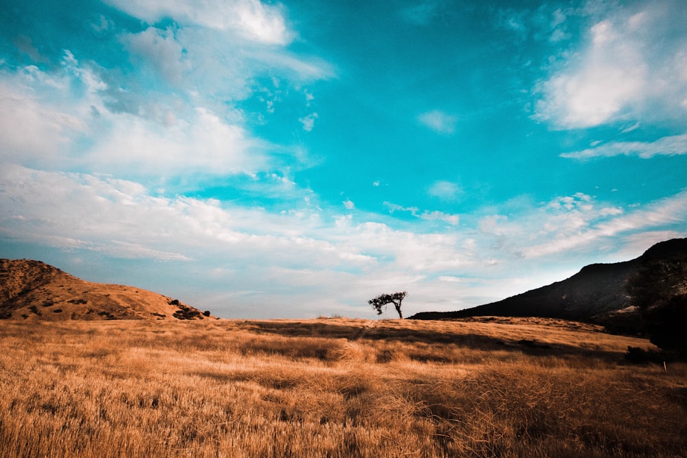 blue cloudy sky scenery