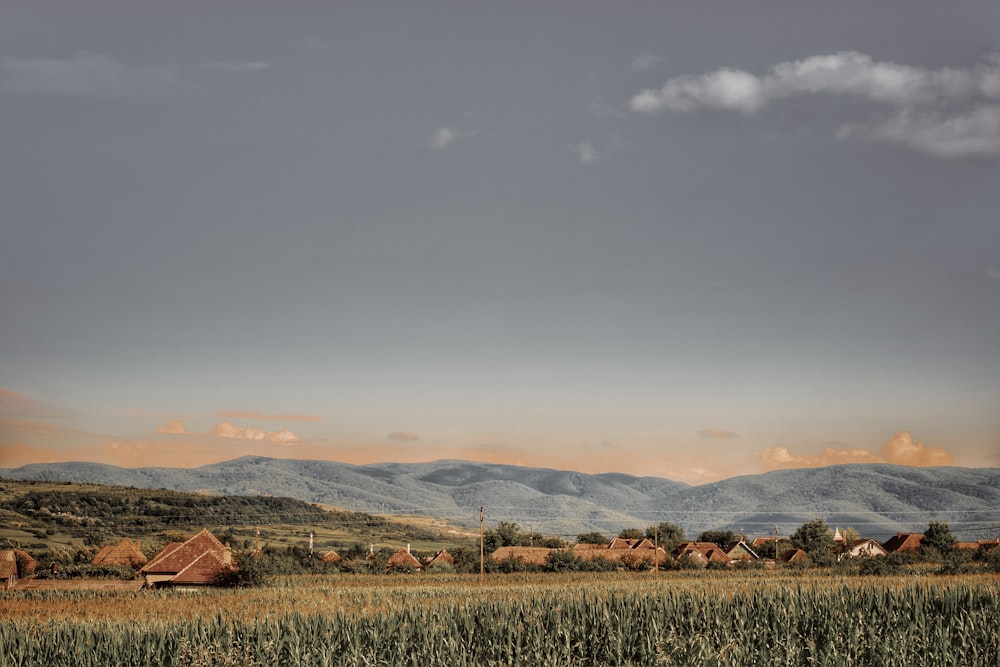 green field with houses and mountain