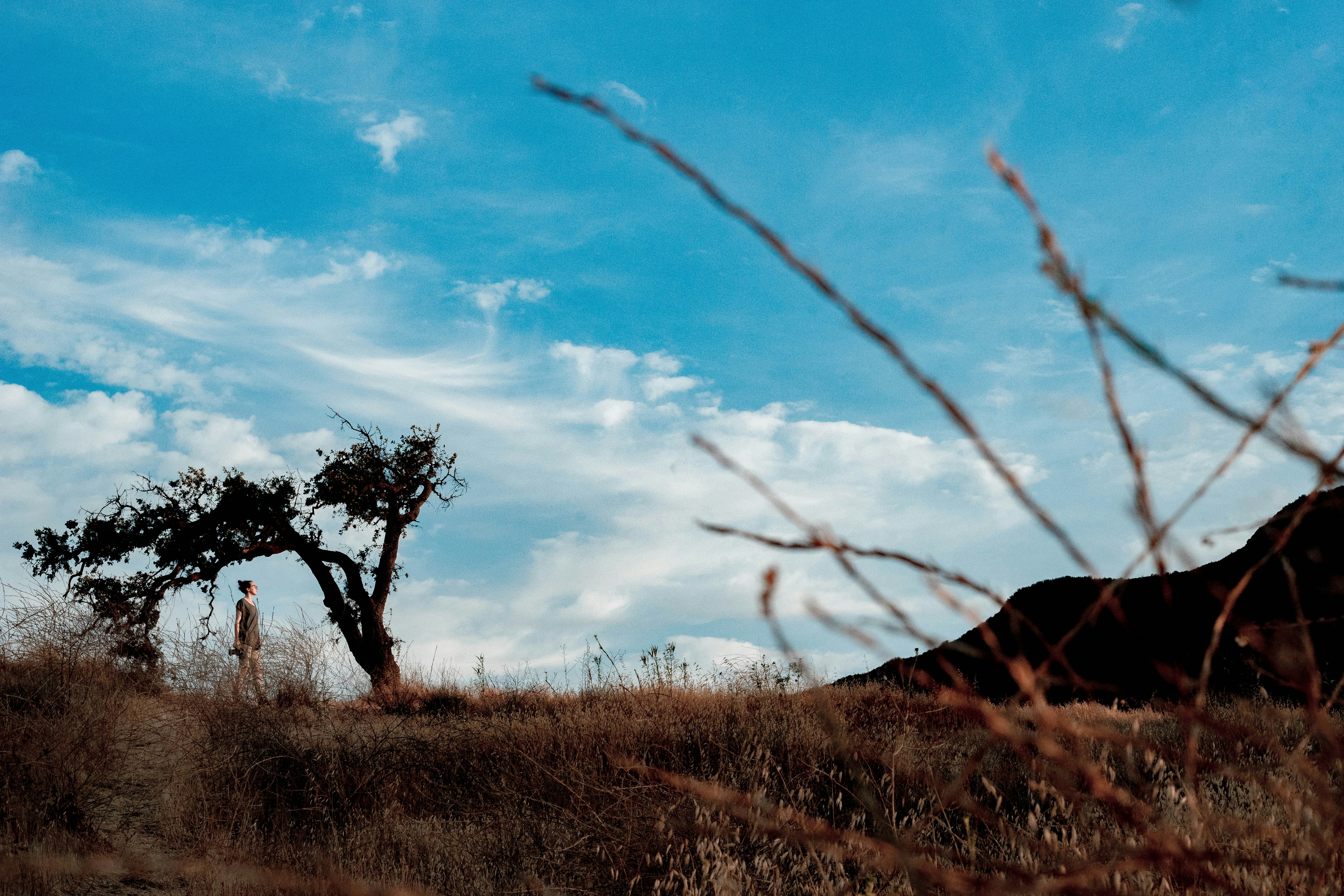 Photo by davidgaviphoto