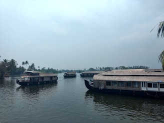 Several houseboats are floating on a calm river surrounded by lush greenery and palm trees under a partly cloudy sky.