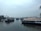 Several houseboats are floating on a calm river surrounded by lush greenery and palm trees under a partly cloudy sky.