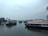 Several houseboats are floating on a calm river surrounded by lush greenery and palm trees under a partly cloudy sky.