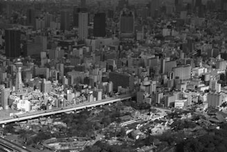 A dense urban landscape featuring numerous buildings of varying heights. Among the structures, a tall tower with signage stands out. The image captures the urban density with blocks of apartments and commercial buildings under a cloudy sky. An elevated highway cuts through the scene, and a green patch of trees is visible towards the bottom.
