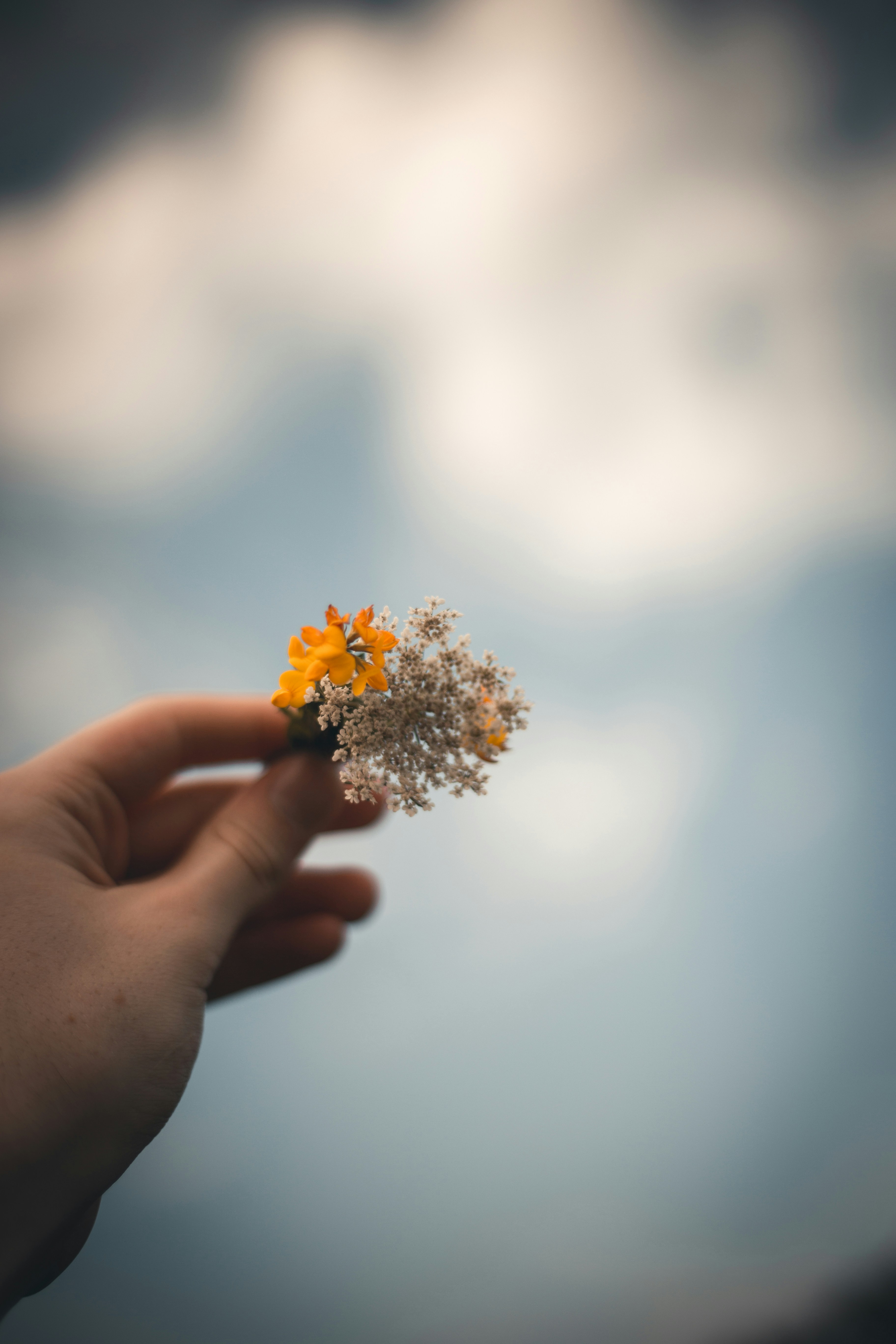 Photo by isaacmehegan