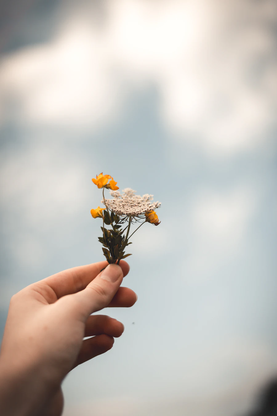 A hand gently holds a small bunch of wildflowers up against a soft light cloudy sky, a tender moment of remembrance