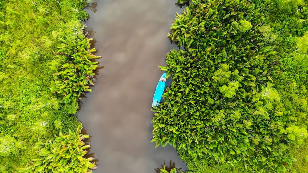 bird's eye view of river