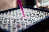 A close-up view of a tray filled with transparent laboratory test tubes, some of which are being filled with a pink liquid using a pipette. The setting appears to be a laboratory environment focused on scientific experiments or medical testing.