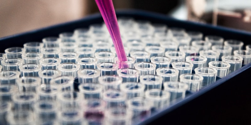 Stem Cell Therapy in 2026: What's New