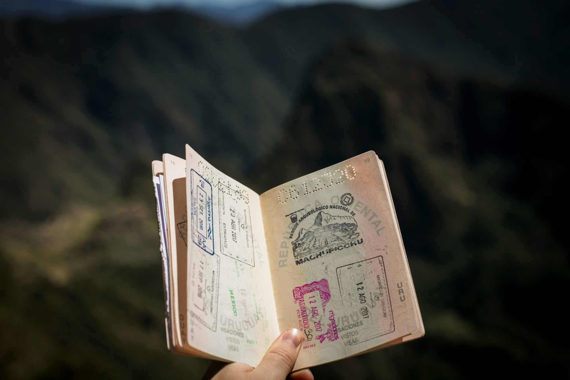 Photo of a person holding a passport