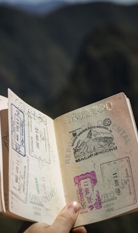 person holding passport