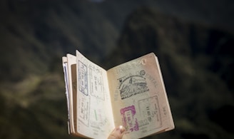 person holding passport