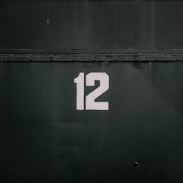 12-printed on black steel gate