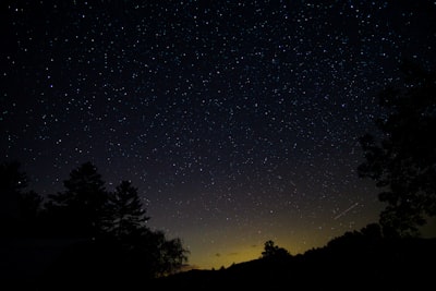 silhouette of trees under starry sky milkyway google meet background