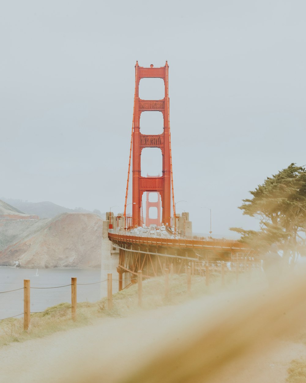 person showing golden gate bridge